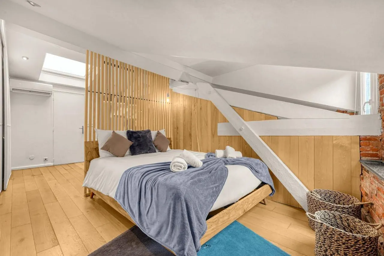 טולוז Le Brandy - Charmant Loft Climatise De 42M² צרפת